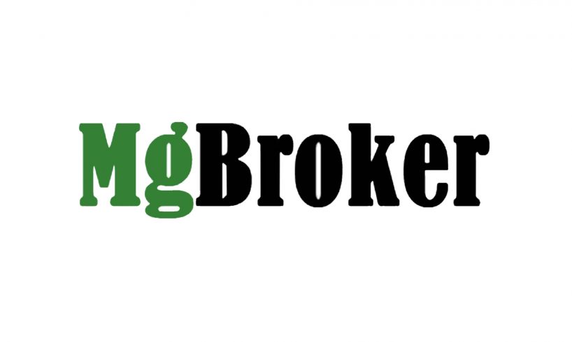 Обзор брокера MgBroker – актуальная информация и честные отзывы - фото Обзор брокера MgBroker – актуальная информация и честные отзывы