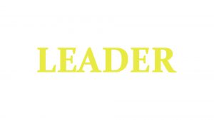 Обзор мошеннического сайта Leader Money и отзывы пользователей - фото Обзор мошеннического сайта Leader Money и отзывы пользователей
