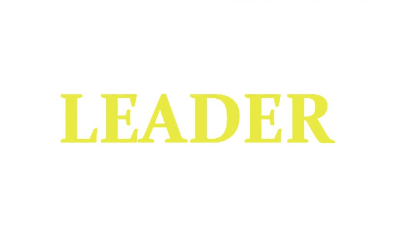 Обзор мошеннического сайта Leader Money и отзывы пользователей - фото Обзор мошеннического сайта Leader Money и отзывы пользователей