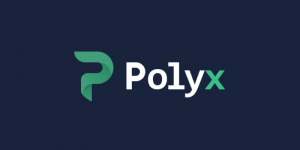 Подробный обзор и анализ криптобиржи POLYX: отзывы клиентов - фото Подробный обзор и анализ криптобиржи POLYX