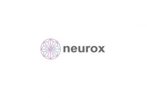 Трейдеры: кто они и чем занимаются? - фото Шаблонный хайп-проект Neurox