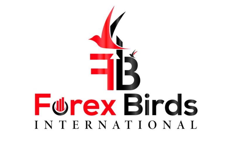 Обзор Forex Birds: торговые предложения форекс-брокера - фото Обзор Forex Birds: торговые предложения форекс-брокера