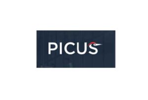 Детальный обзор Picus: тарифные планы, отзывы - фото Детальный обзор Picus: тарифные планы, отзывы