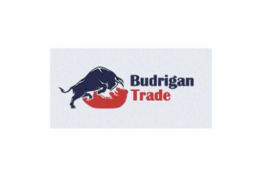 На какую оценку заслуживает Budrigan Trade: независимый обзор и отзывы
