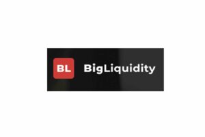 Обзор условий BigLiquidity: проверка достоверности фактов, отзывы - фото Обзор условий BigLiquidity: проверка достоверности фактов, отзывы