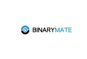 Детальный обзор Binarymate: условия сотрудничества, отзывы - фото Детальный обзор Binarymate: условия сотрудничества, отзывы