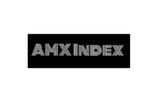 Обзор брокера AMX INDEX: условия сотрудничества, отзывы - фото Обзор брокера AMX INDEX: условия сотрудничества, отзывы