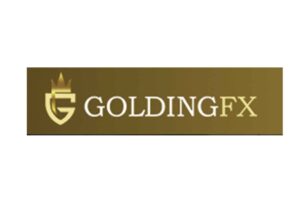GoldingFX: отзывы о работе с новым брокером и общий обзор информации - фото GoldingFX: отзывы о работе с новым брокером и общий обзор информации