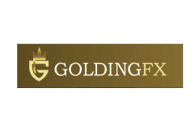 GoldingFX: отзывы о работе с новым брокером и общий обзор информации - фото GoldingFX: отзывы о работе с новым брокером и общий обзор информации