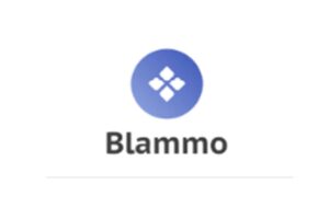 Blammo: отзывы экс-клиентов о работе компании в 2023 году - фото Blammo: отзывы об условиях и исполнении договоренностей