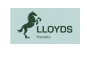 Lloyds Markets: отзывы клиентов о работе компании в 2023 году - фото Lloyds Markets: отзывы клиентов о работе компании в 2023 году