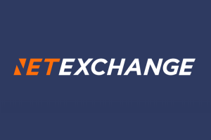Обзор обменника Netexchange