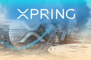 Xpring от Ripple будет способствовать ускорению разработки XRP