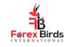 Обзор Forex Birds: торговые предложения форекс-брокера