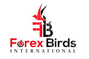 Обзор Forex Birds: торговые предложения форекс-брокера