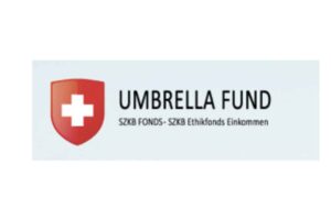 Подробный обзор инвестиционной платформы Umbrella Fund: типы счетов и отзывы клиентов