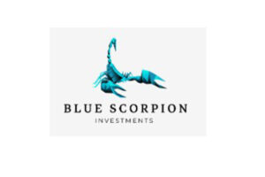 Blue Scorpion Investments: отзывы о брокере и обзор его деятельности