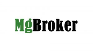 Обзор брокера MgBroker – актуальная информация и честные отзывы
