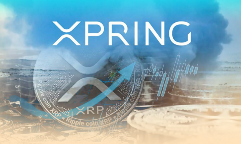 Xpring от Ripple будет способствовать ускорению разработки XRP