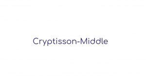 Обзор хайпа Cryptisson-middle — правдивые отзывы вкладчиков
