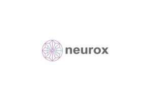Шаблонный хайп-проект Neurox