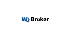 WQ Broker: честный обзор нового брокера и отзывы клиентов