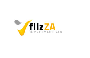 Обзор инвестиционной онлайн-платформы Flizza: условия сотрудничества