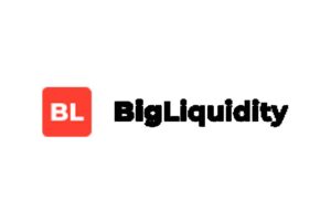 Обзор CFD-брокера Big Liquidity: торговые условия и отзывы трейдеров