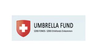 Подробный обзор инвестиционной платформы Umbrella Fund: типы счетов и отзывы клиентов