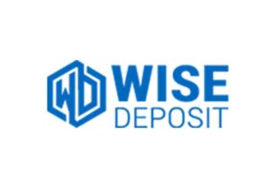 Обзор инвестиционной платформы WiseDeposit: тарифные планы и отзывы клиентов