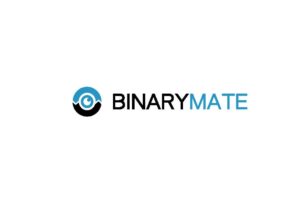 Детальный обзор Binarymate: условия сотрудничества, отзывы