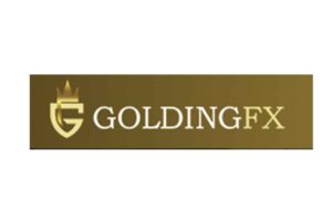 GoldingFX: отзывы о работе с новым брокером и общий обзор информации