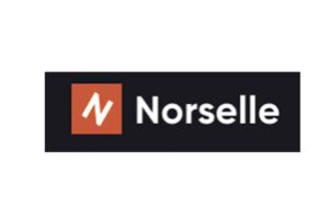 Norselle: отзывы о результатах сотрудничества, проверка юридической базы и доменной истории