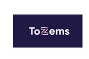 Tozems: отзывы об инвестициях, анализ условий