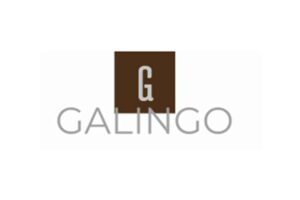 Galingo: отзывы и анализ деятельности
