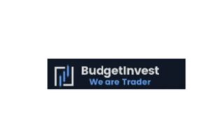 Budget Invest: отзывы и рейтинг брокера